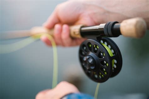 The Ultimate Ocean Fishing Guide: Tips and Techniques for .